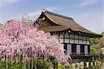 Heian-Jingu Schrein, Kyoto, Japan