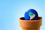 Planet earth in a flower pot