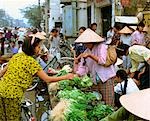 Fournisseurs proposant des légumes frais à vendre, Vietnam