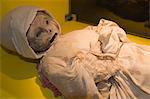 The Mummy Museum (Museo de las Momias) in Guanajuato, a World Heritage Site, Guanajuato, Guanajuato State, Mexico, North America