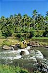 River valley at Kupa Kupa Barong, near Ubud, Bali, Indonesia, Southeast Asia, Asia