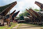 Toraja houses and granaries, Toraja area, Sulawesi, Indonesia, Southeast Asia, Asia