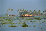 État de péniches utilisées pour les touristes, les eaux dormantes, Kerala, Inde, Asie