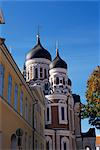 La cathédrale Alexandre Nevski, vieille ville, Site du patrimoine mondial de l'UNESCO, Tallinn, en Estonie, pays baltes, Europe