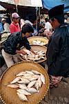 Fish market, Rantepao, Toraja area, Sulawesi, Indonesia, Southeast Asia, Asia