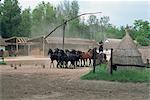 Csikos ou cowboys sur ferme équestre dans la Puszta, Hongrie, Europe