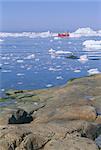 Icebergs de, le fjord glacé d'Ilulissat, Groenland, baie de Disko, régions polaires
