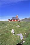 Settlement of Ilimanaq, formerly Claushavn, Greenland, Polar Regions