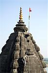 Man picking weeds out of the Shiva Hindu temple on banks of the Narmada River, Maheshwar, Madhya Pradesh state, India, Asia