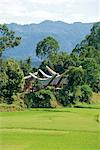 Houses near the highest mountain in Toraja, Toraja area, Sulawesi, Indonesia