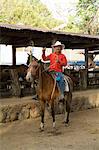 Horses, Hacienda Guachipelin, near Rincon de la Vieja National Park, Guanacaste, Costa Rica, Central America