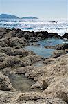 Rock piscines où ses habitants recueillent sel, zone de Alaties Beach, Kefalonia (Céphalonie), îles Ioniennes, Grèce, Europe
