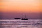 Sailboats at sunset, Key West, Florida, United States of America, North America