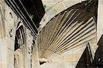 Détail du symbole de la coquille du pèlerinage, cathédrale de Santiago, Plaza de Las Platerias, Saint Jacques de Compostelle, Galice, Espagne, Europe