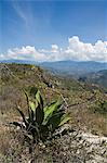 Landscape near Hierve el Agua, Oaxaca, Mexico, North America