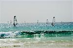 Windsurfen in Santa Maria auf der Insel Sal (Salz), Kapverdische Inseln, Afrika