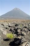 Blick von der Caldera des Vulkans Pico de Fogo, Fogo (Feuer), Kapverdische Inseln, Afrika