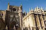 Seville Cathedral, UNESCO World Heritage Site, Santa Cruz district, Seville, Andalusia, Spain, Europe