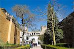 Patio del Leon, district de Real Alcazar, patrimoine mondial de l'UNESCO, Santa Cruz, Séville, Andalousie (Andalucia), Espagne, Europe