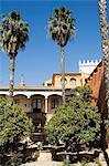 Les jardins du Real Alcazar, patrimoine mondial de l'UNESCO, le quartier de Santa Cruz, Séville, Andalousie (Andalucia), Espagne, Europe