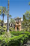 The gardens of the Real Alcazar, UNESCO World Heritage Site, Santa Cruz district, Seville, Andalusia (Andalucia), Spain, Europe