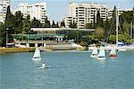 Segelboote und Segel-Club im Hintergrund auf dem Fluss Rio Guadalquivir, Sevilla, Andalusien, Spanien, Europa