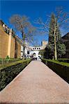 Patio del Leon, Real Alcazar, Santa Cruz district, Seville, Andalusia (Andalucia), Spain, Europe