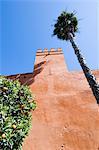 Les jardins de l'Alcazar Real, le quartier de Santa Cruz, Séville, Andalousie (Andalucia), Espagne, Europe