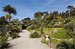 The Abbey Gardens, Tresco, Isles of Scilly, off Cornwall, United Kingdom, Europe