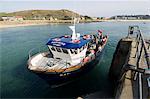 Tresco, Isles of Scilly, off Cornwall, United Kingdom, Europe