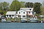 Hartriegel Harbour, Insel Tilghman, Talbot County, Chesapeake Bay Area, Maryland, Vereinigte Staaten von Amerika, Nordamerika