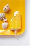 Creamsicle und Muscheln
