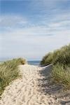 Path in Sand at Beach, Vorupoer, Jylland, Denmark