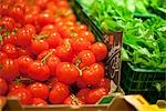 Tomates au marché