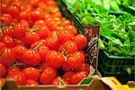 Tomatoes at Market