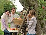 People picking apples in baskets