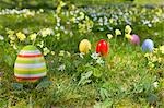 easter eggs,spring flowers in grass