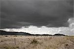 Nuages de tempête champ, Texas, Etats-Unis