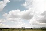 Highway 67 and Landscape, Texas, USA