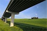 Pont au-dessus de la Rolling Hills, Val d'Orcia, Toscane, Italie