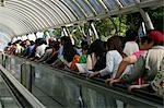 Ocean Park-Rolltreppe, Hong Kong