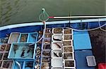 Seafood selling at the pier,Sai Kung,Hong Kong