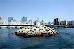 Kwun Tong skyline,Hong Kong