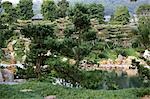 Teich, Chi Lin Kloster chinesischen Garten, Diamond Hill, Hong Kong