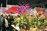 People shopping at flower market for celebrating the Chinese new year,Hong Kong