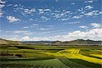 Fields in suburbs,Shangri-la,Yunnan,China