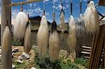 Brushes hanging for drying outdoor,Tibetan village in the suburbs of Shangri-La,China