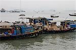Mer transport, île de Gulangyu, Xiamen (Amoy), Province de Fujian, Chine