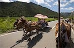 Tourists on a Donkey carts tour at Nanshan ranch,Wulumuqi,Xinjiang Uyghur autonomy district,Silk Road,China