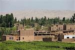 Grape fields and Raisin Tower,Turpan,Xinjiang Uyghur Autonomy district,China